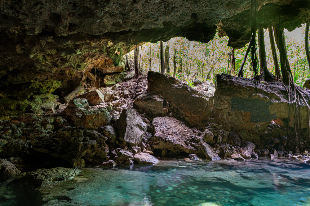  Vacacionando en el puente de Octubre 2024: disfruta de cenotes.